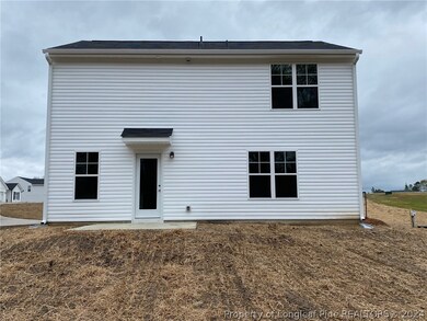 67 Dalmation (Lot 27) Ln, Parkton, NC 28371 - photo 2