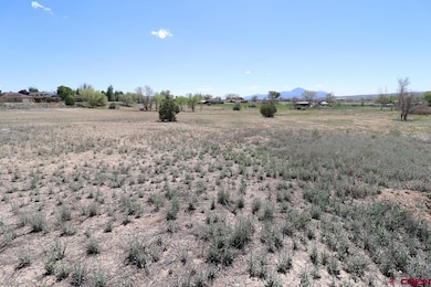 2606 Fairway Dr, Cortez, CO 81321 - photo 2
