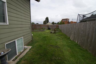 Backyard1