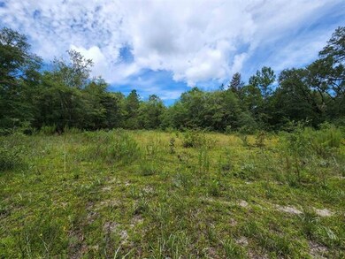 xx Friendship Ln, Crawfordville, FL 32327 - photo 3