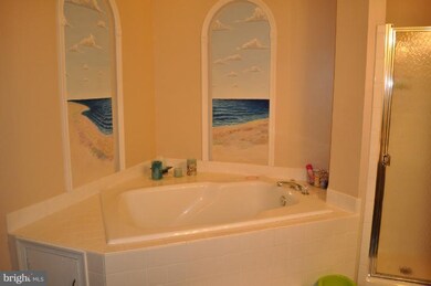 13901 Laura Ratcliff Ct, Centreville, VA 20121 - photo 3