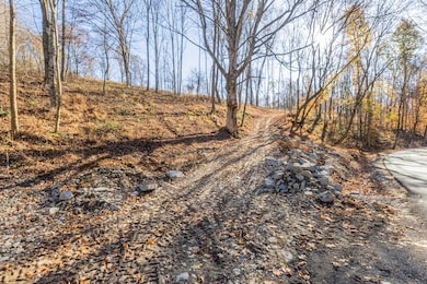 1548 Rabe Coats Rd, Westmoreland, TN 37186 - photo 2