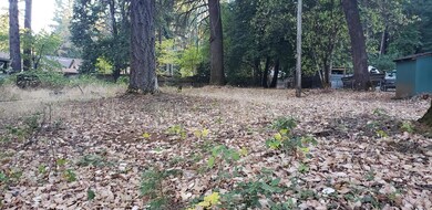 Nice level lot, septic towards back fenc