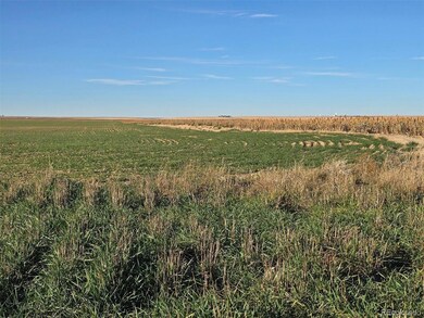 0 Cr K, Haswell, CO 81045 - photo 6