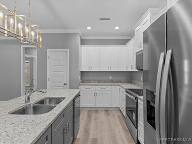 247 County Road 166, New Brockton, AL 36351 - photo 5