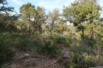 8727 Terra Mont Way, San Antonio, TX 78255 - photo 3