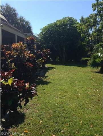 rear yard