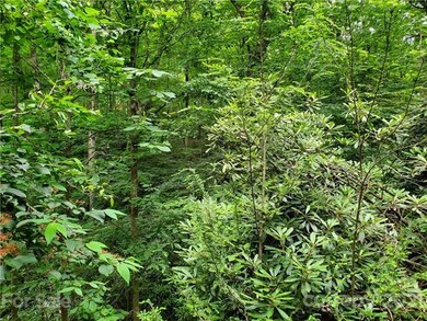 Treetop living - Nothing but trees and nature arou
