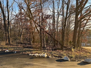 0 Panorama Ave NW, Roanoke, VA 24017 - photo 2