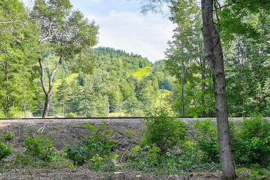 8 River Run Dr unit G, Bartlett, NH 03838 - photo 5