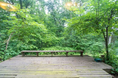 Back Deck - lower