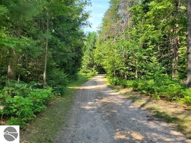 4153 S M-76, West Branch, MI 48661 - photo 3