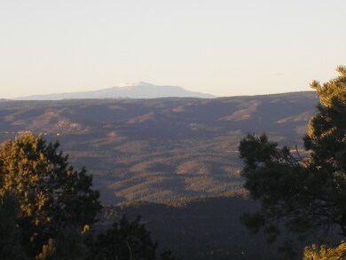 50 Pine Nut Dr unit 2/Lot 70, Trinidad, CO 81082 - photo 5