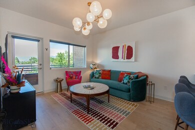 718 W Babcock St unit 310, Bozeman, MT 59715 - photo 5