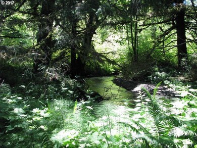 Creek