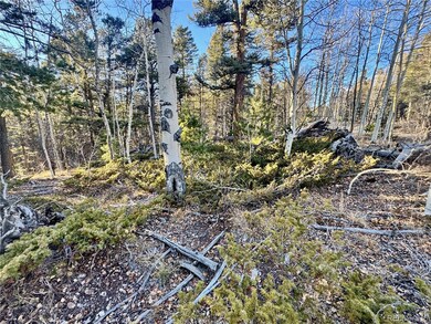 lot 5888 Loubier Rd, Fort Garland, CO 81133 - photo 4