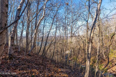 919 Sparrow Way, Sharps Chapel, TN 37866 - photo 5