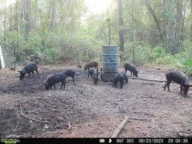 0 SW Prine Rd unit 19604535, Lee, FL 32059 - photo 7