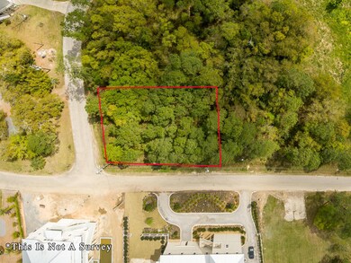 Lot 29 Baywood Dr, Pass Christian, MS 39571 - photo 4