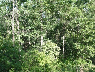 DSC00281