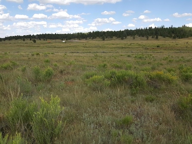 2 - Top of the Property Looking East