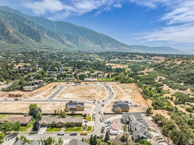 Aerial view of residential area with a mountainous background