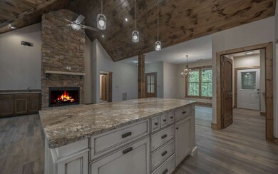 24 Weeks Dr, Ellijay, GA 30540 - photo 3