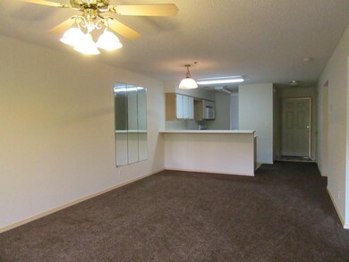 Lakefront Living/Dining