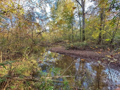 0 Jordon Rd unit 25580264, Waverly Hall, GA 31831 - photo 4