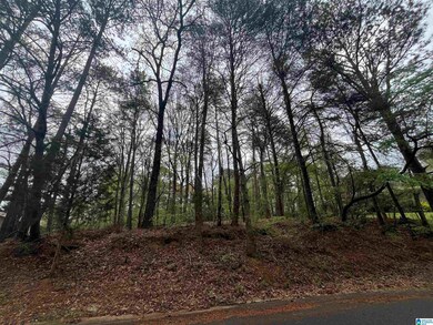 921 Pinehaven Dr unit 8, Bessemer, AL 35023 - photo 4