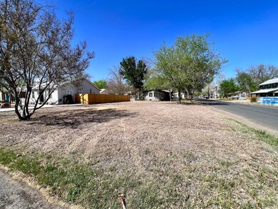 302 W Hackberry St unit 12, Fredericksburg, TX 78624 - photo 5