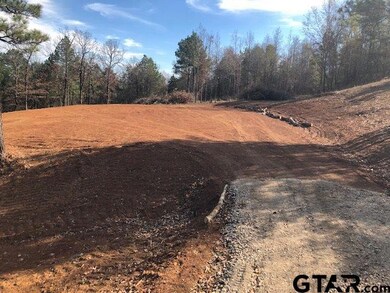 13149 Fm 848, Whitehouse, TX 75791 - photo 3