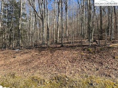 6 Meadow Ave, Banner Elk, NC 28604 - photo 3