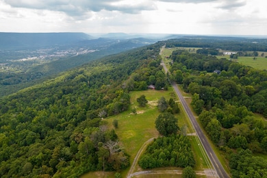 1984 Brow Rd, Trenton, GA 30752 - photo 3