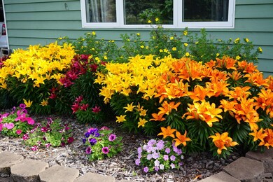 Past summer photo 2