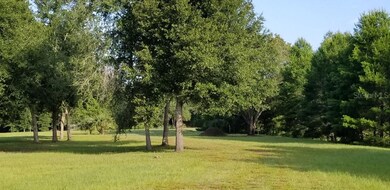 Imagine this is your winding driveway