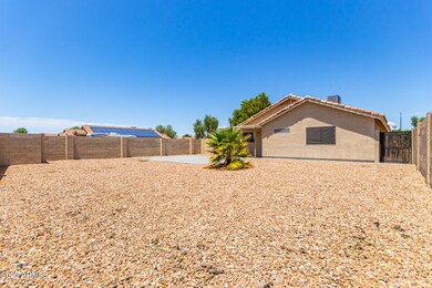 Huge Back Yard