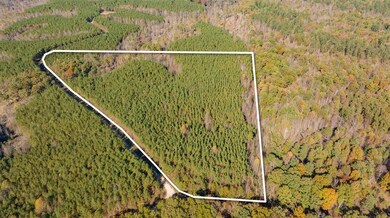 0 Old Highway 18 Tract 11, Stewart, TN 37175 - photo 3