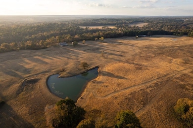 Catalpa Rd, Big Sandy, TX 75755 - photo 3