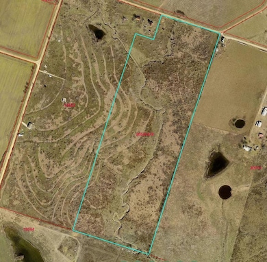 TBD County Road 112, Buckholts, TX 76518 - photo 2