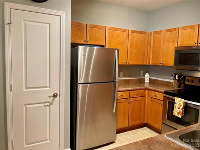 423 Appeldoorn Cir unit 423, Asheville, NC 28803 - photo 5