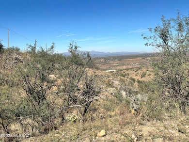 1770 Calle Pescador unit 1, Rio Rico, AZ 85648 - photo 5