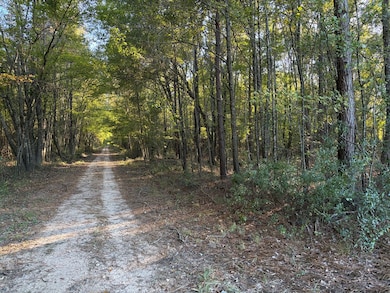 TBD E Redcut Rd, Fouke, AR 71837 - photo 6