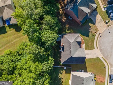 482 Panhandle Place, Hampton, GA 30228 - photo 4