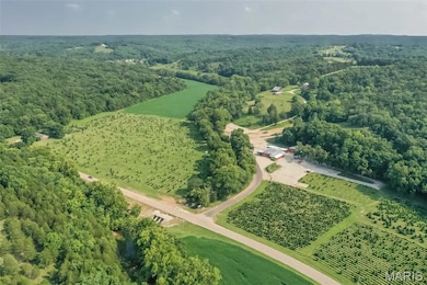 14560 Dry Fork Rd, Festus, MO 63028 - photo 3