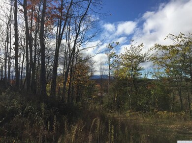 358 Flats Rd, Athens, NY 12015 - photo 2