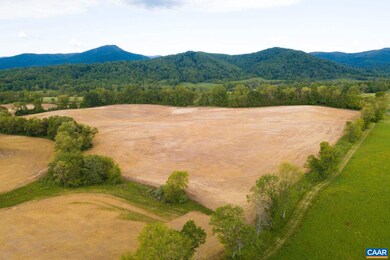 TBD Francis Thorton Valley Rd, Sperryville, VA 22740 - photo 6