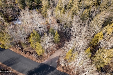 116 Travis Rd, Edwards, CO 81632 - photo 5