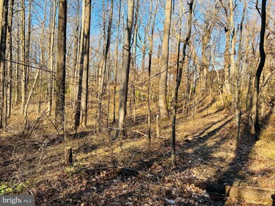 794 Richardson Dr, Harwood, MD 20776 - photo 4