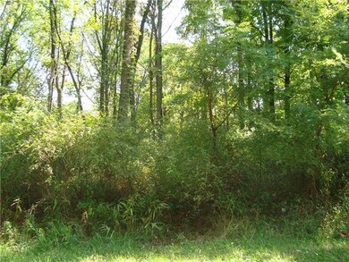 Yard. This is the property from the road. Lots of woods!!